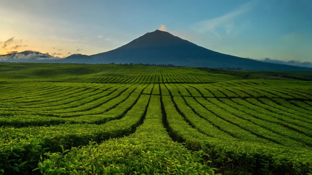 10 Gunung Tertinggi di Pulau Sumatera dan Jalur Pendakian