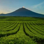 10 Gunung Tertinggi di Pulau Sumatera dan Jalur Pendakian